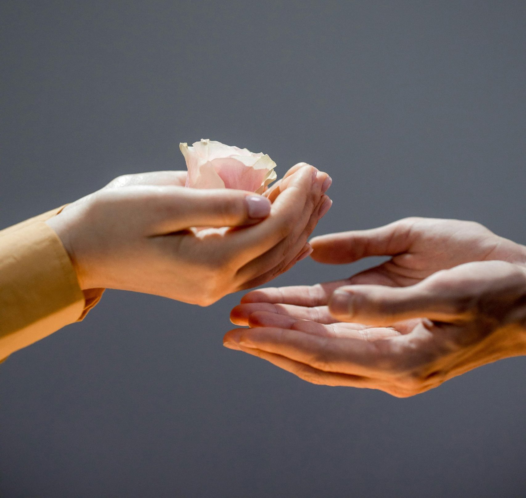 pexels ron lach 9169661 scaled e1745789684511